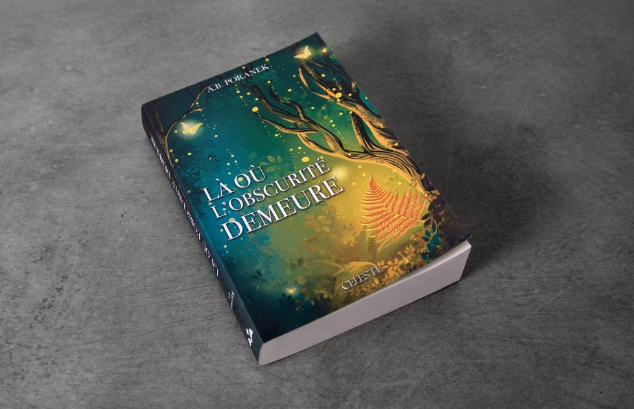 Traduction Là où l'obscurité demeure